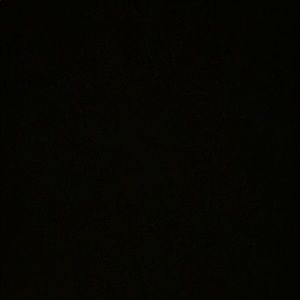 Meet your Posher, Randall